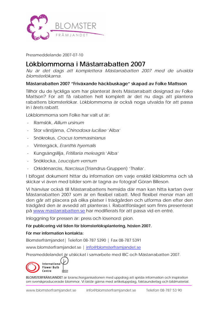 Lökblommorna i Mästarrabatten 2007