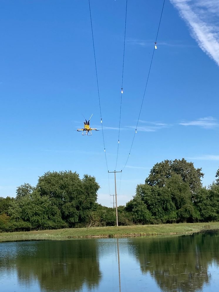 20220883_Aktiver Vogelschutz an Freileitungen_1