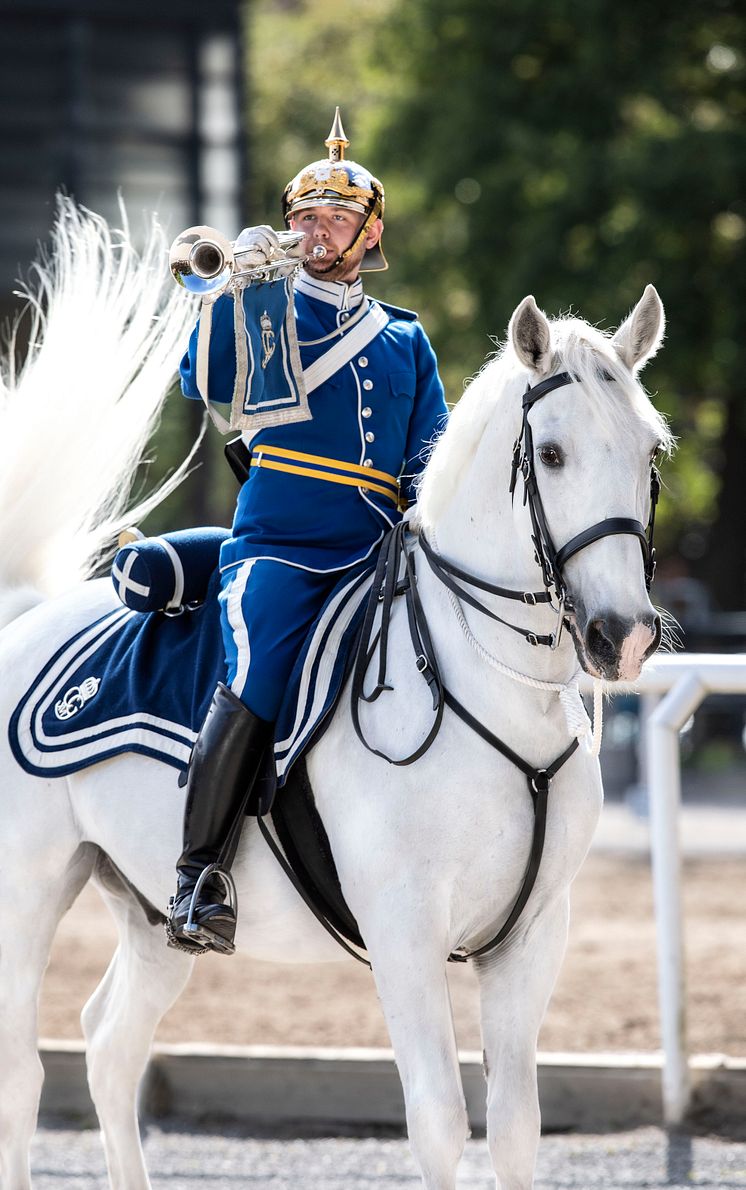 Beridna Högvakten - Foto, Marielle Andersson Gueye.jpg