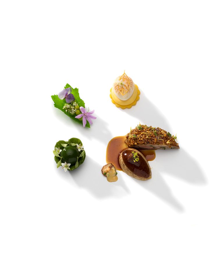 Bocuse D'or Europe 2020 Vaktel 