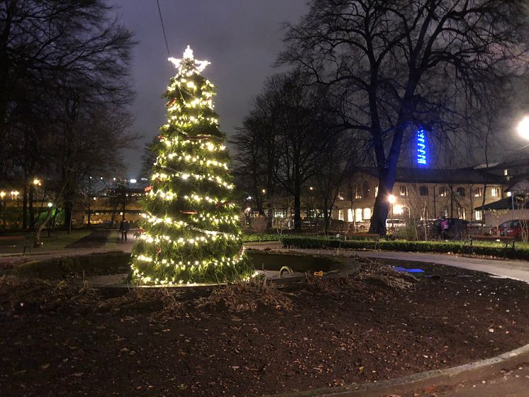 Smyckad gran i Stadsträdgården