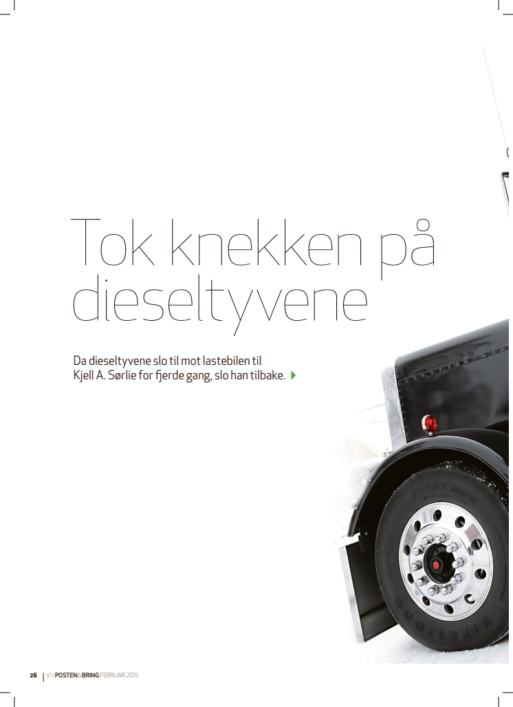 Tok knekken på dieseltyvene