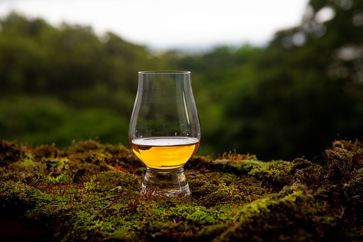 Whisky in the woods