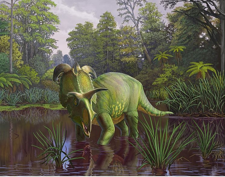 Reconstruction of Lokiceratops in the 78-million-year-old swamps of northern Montana, USA as two Probrachylophosaurus move past in the background.  Artwork by Fabrizio Lavezzi Â© Evolutionsmuseet, Knuthenborg.jpg