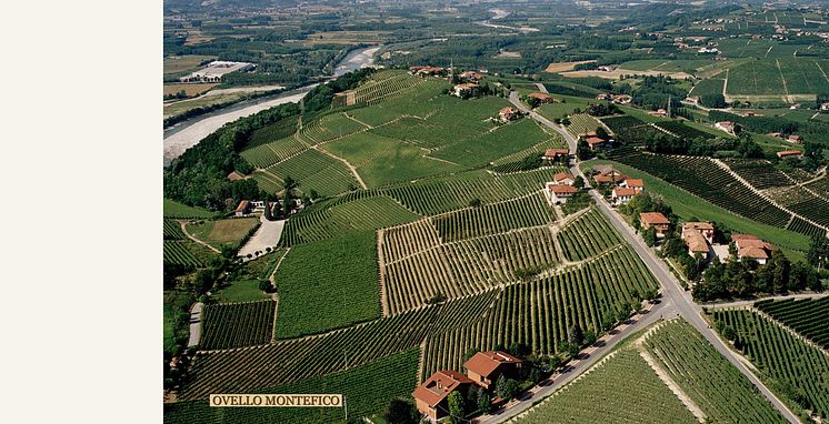 Ovello Montefico.jpg