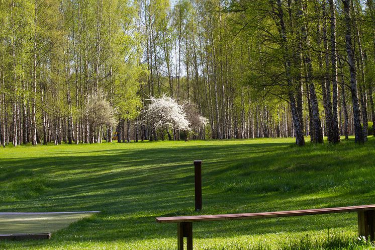 Vår i Järva DiscGolfPark