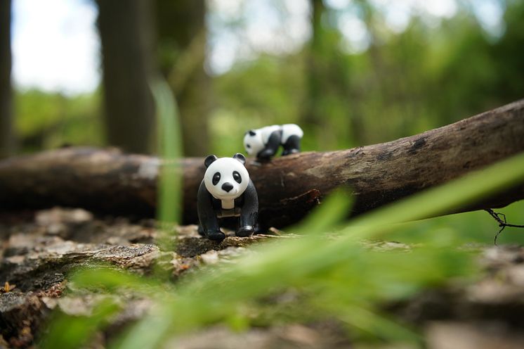 Endlich öffnen Zoos und Tierparks wieder!