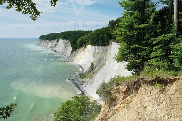  Hvide kridtklipper i Rügen