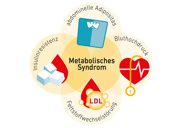Grafik Metabolisches Syndrom.png