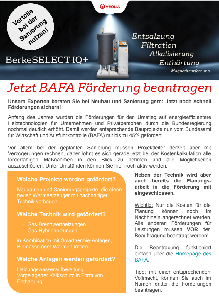 BAFA Förderungen Übersicht: Was wird gefördert?