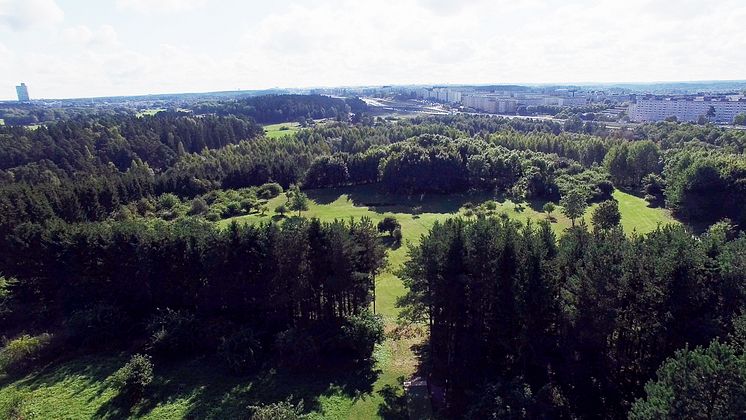 Järva DiscGolfPark, Stockholm