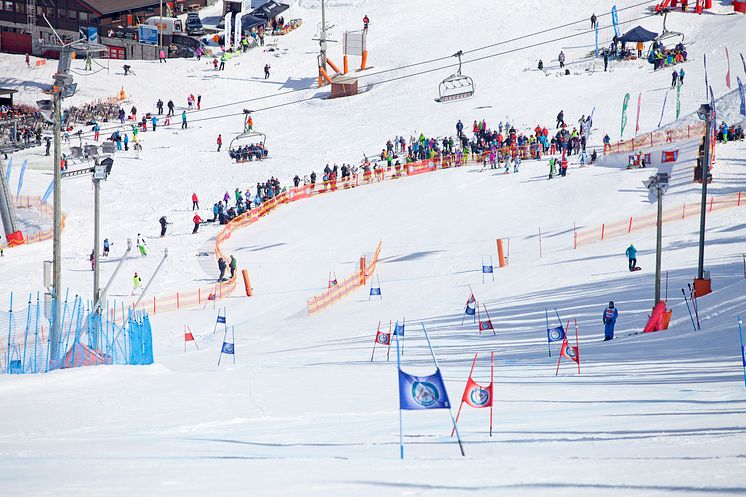 NM alpint Hemsedal 24-30 mars 2014