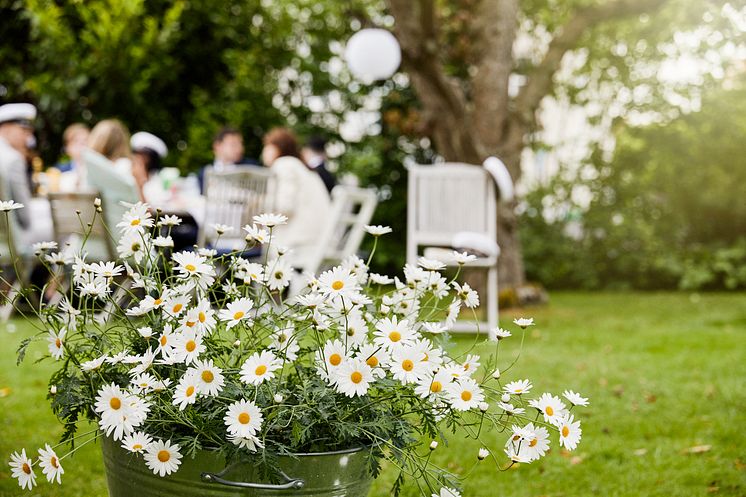 Sommarfest med Sofieromargeriter_högupplöst