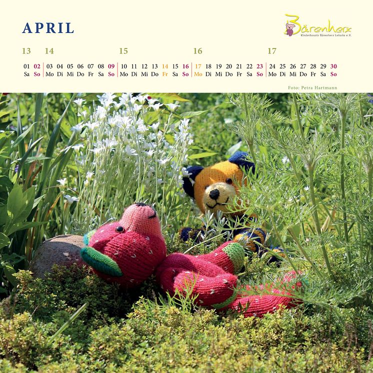 Mit Bärenherz durchs Jahr -  Der neue Bärenherz-Kalender ist da