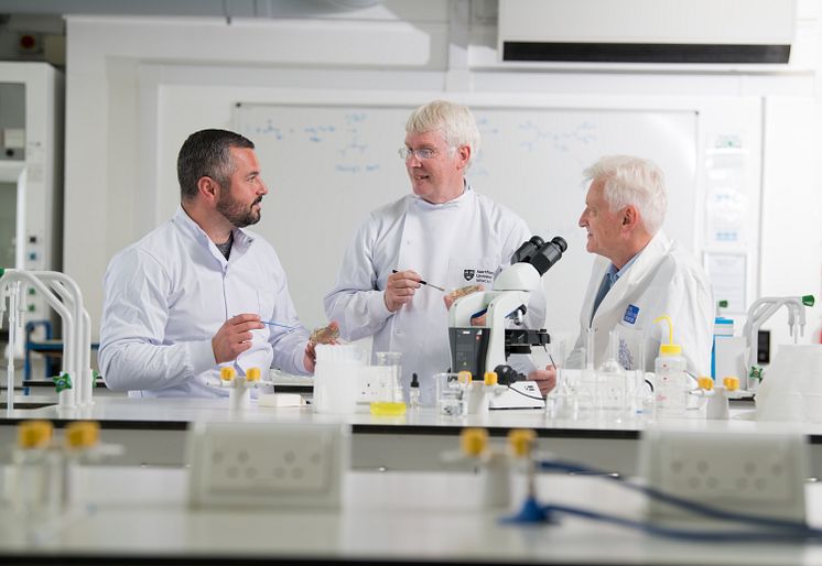 RSC Award - Dr Graeme Turnbull, Prof John Dean and Prof Stephen Stanforth