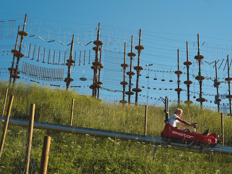 Mountain Coaster 