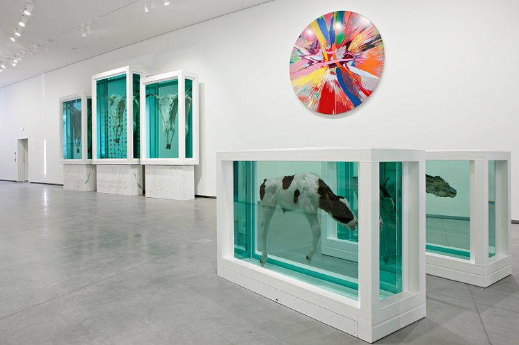 Installation view Astrup Fearnley Collection