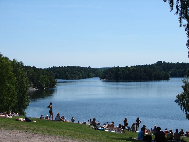 Delsjön, Göteborg. Foto: Yael Zukovsky