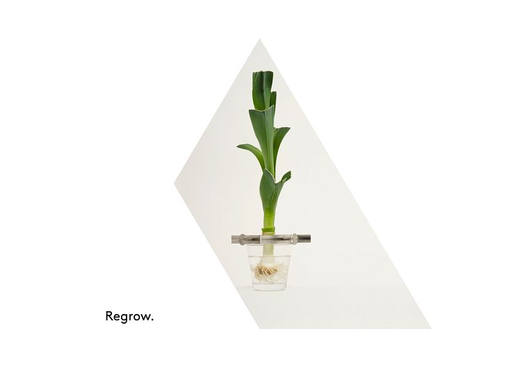 Grönsaksodling Regrow – design Madeleine Nelson