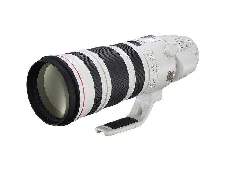 Canon EF 200-400mm f/4L IS USM Extender 1.4x sidan