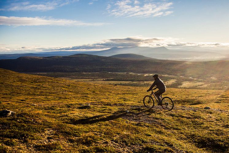 XC-cyklist på fjället