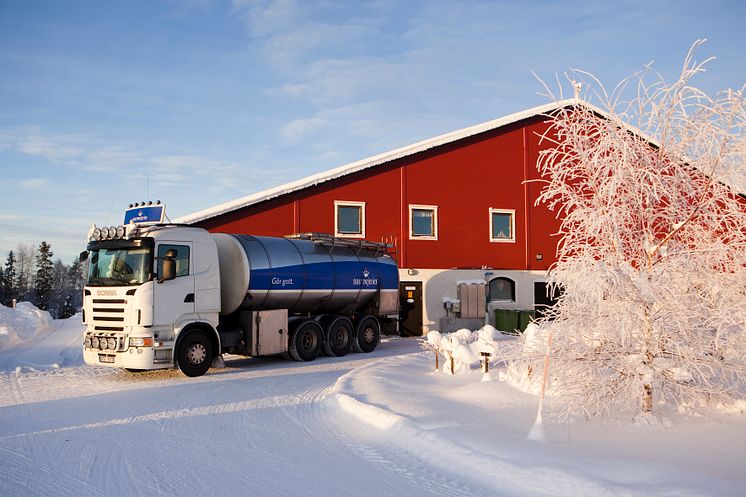 Mjölkbil i Norrland