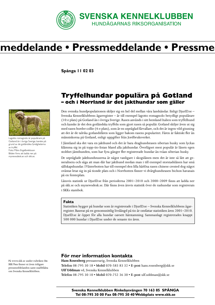 Tryffelhundar populära på Gotland – men i Norrland är det jakthund som gäller