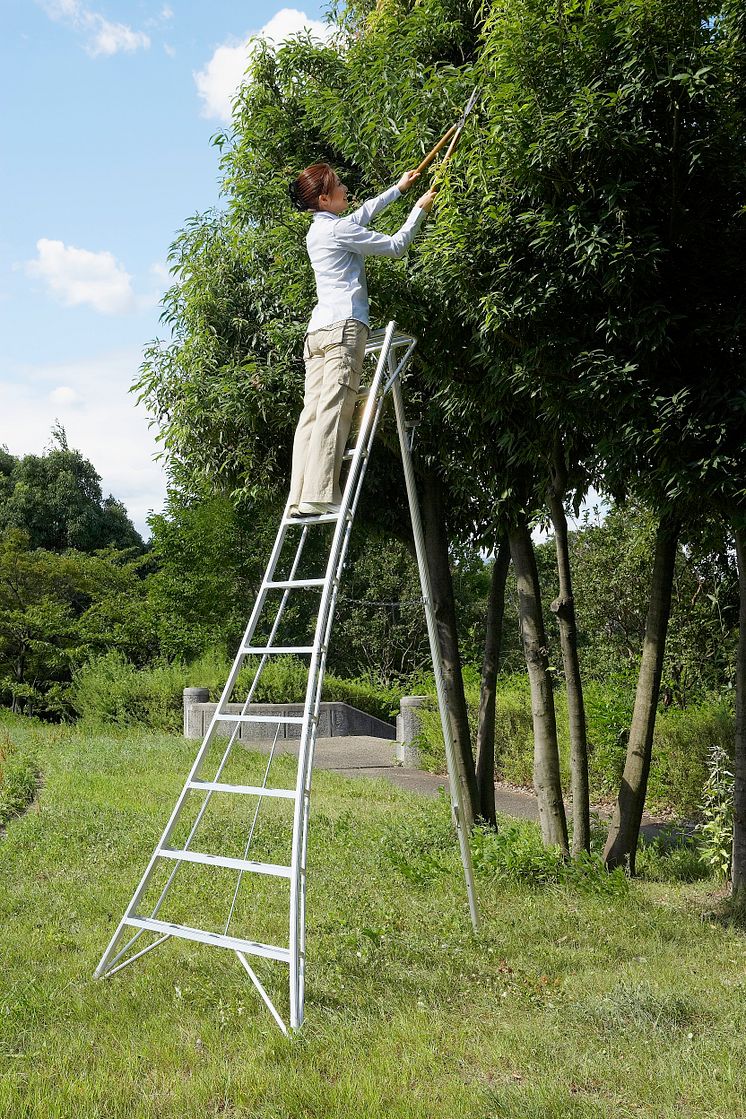 A Japanese tripod ladder has won the 2018 Elmia Garden Award.