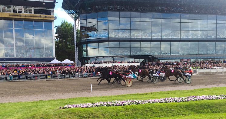 Elitloppet på Solvalla