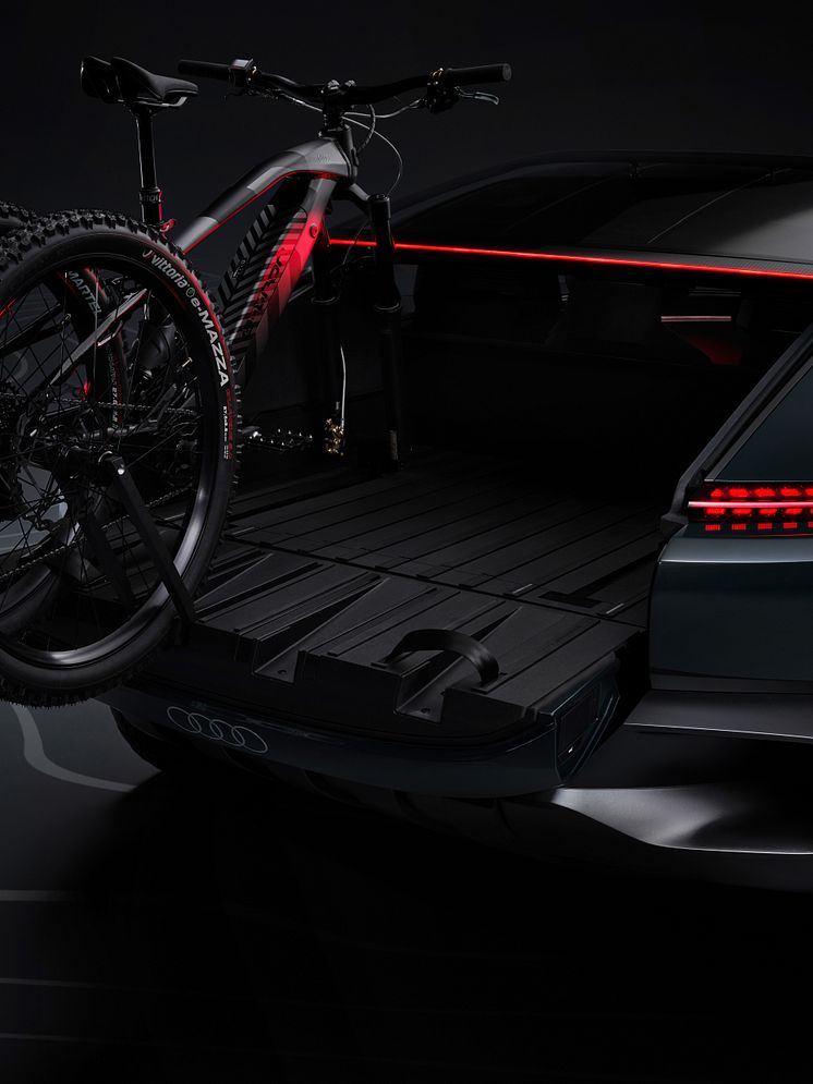 Audi activesphere concept - detalje