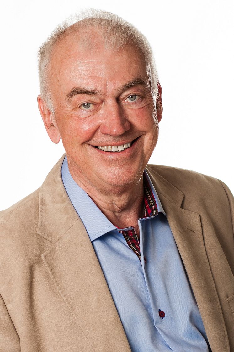 Bert-Inge Hogsved, VD, Hogia
