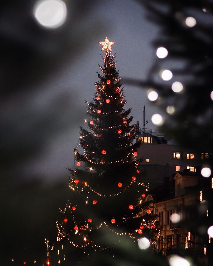 Julgran stortorget