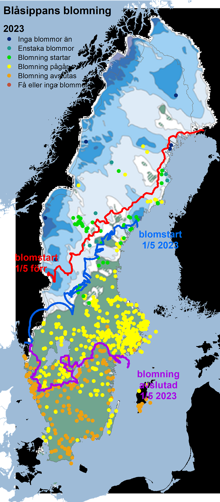 blå2023snö