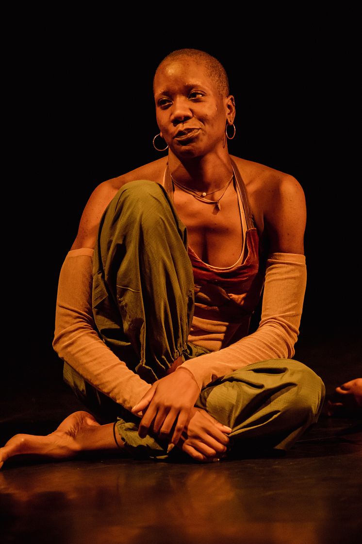 Company Nicolas Huchard - The barefoot diva