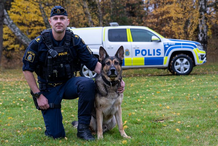 Årets polishund 2020