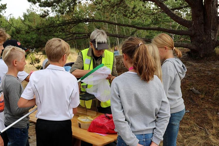 Håvning vid Naturpedagogiska dagarna 2018. Foto - Anette Barr..jpg