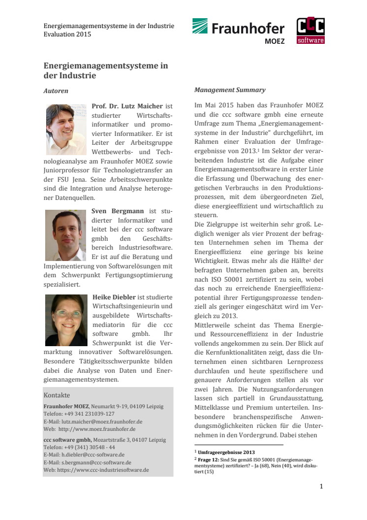 Energiemanagementsysteme in der Industrie, Evaluation 2015