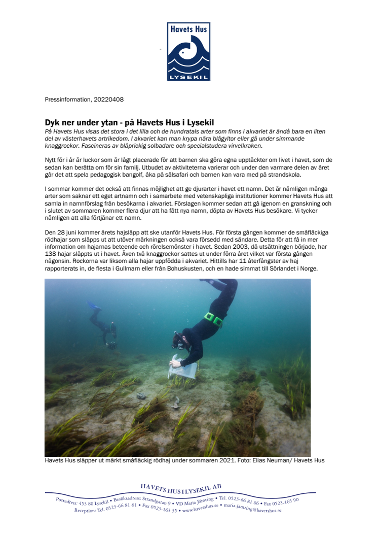 220408 Havets Hus - livet under ytan.pdf