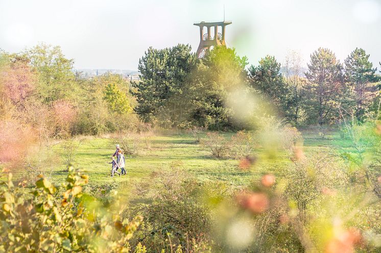 2019_Halde Pluto_Ruhr&Natur_Herbst_HER_Dennis Stratmann (85)