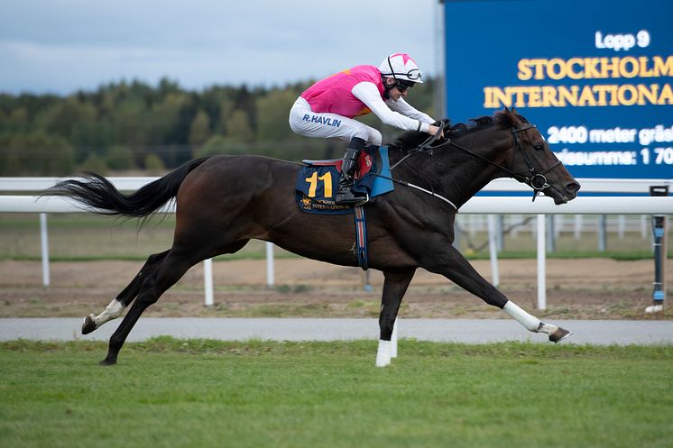 Square De Luynes vinner Stockholm Cup på Bro Park