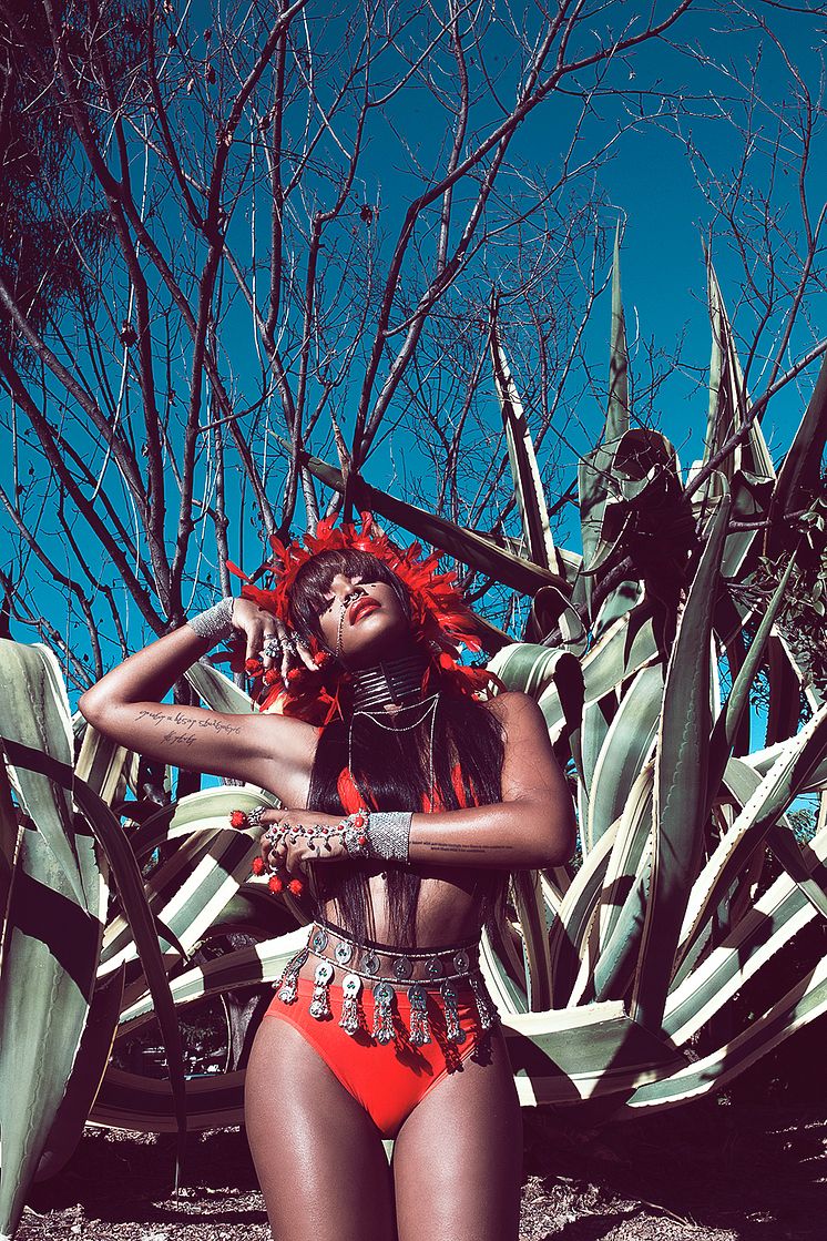 Pressebillede: Dawn Richard 