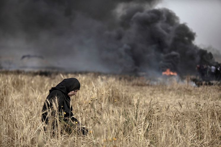 Bild: Bildjournalisten Paul Hansen från Gaza 