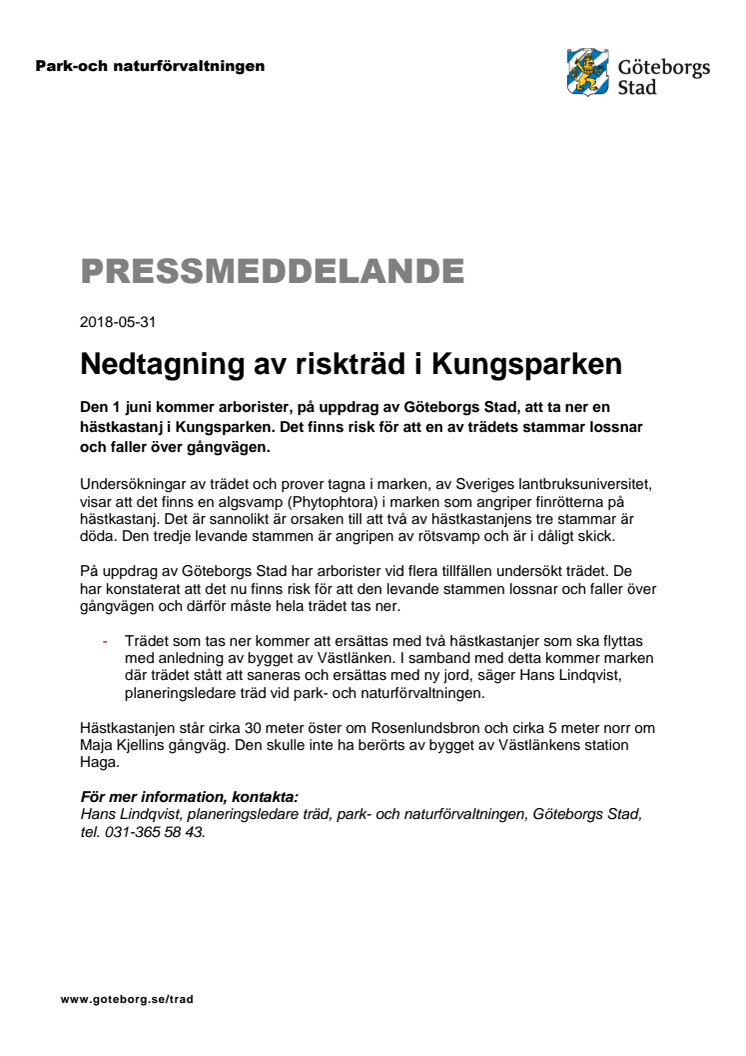 Nedtagning av riskträd i Kungsparken