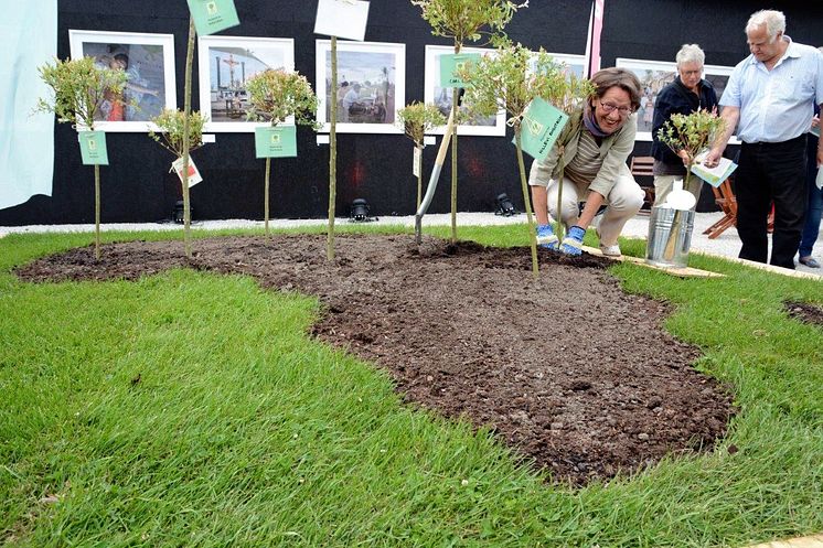 Gudrun Schyman planterar träd i Vi-skogens mini-Afrika