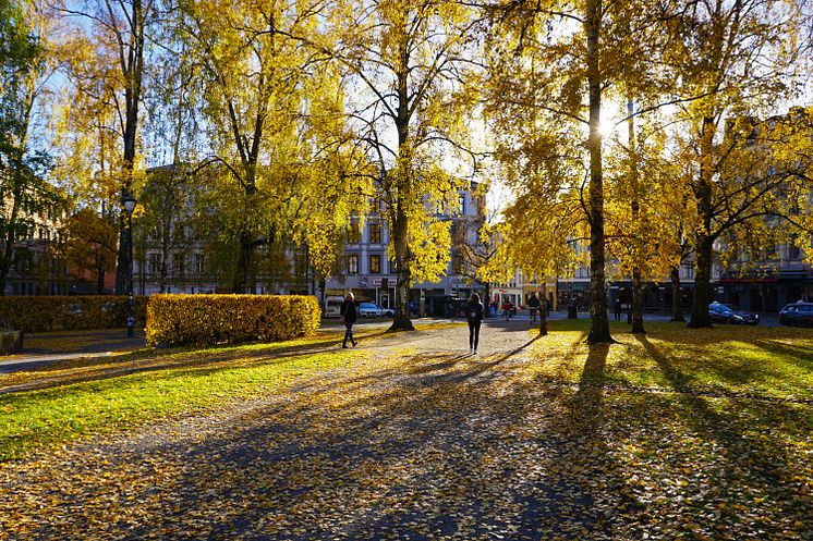 Autumn at Birkelunden, Grünerlokka. Oslo