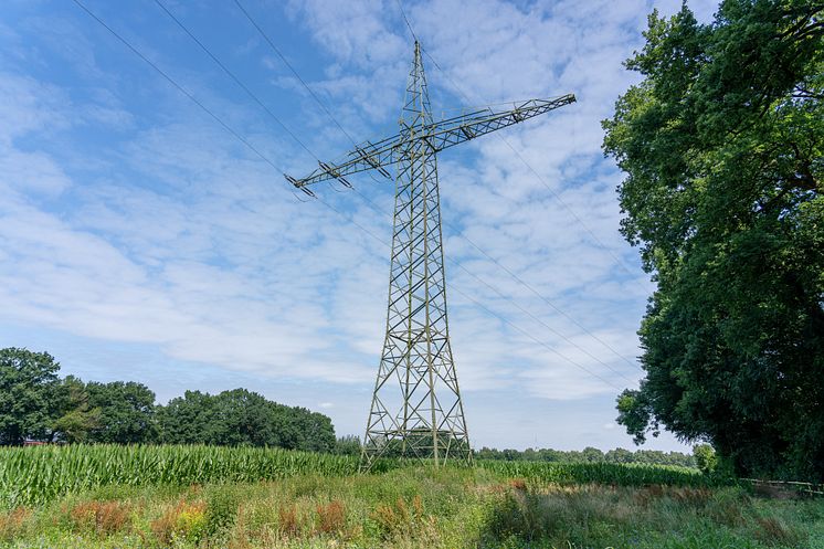 110-kV-Leitung.jpg