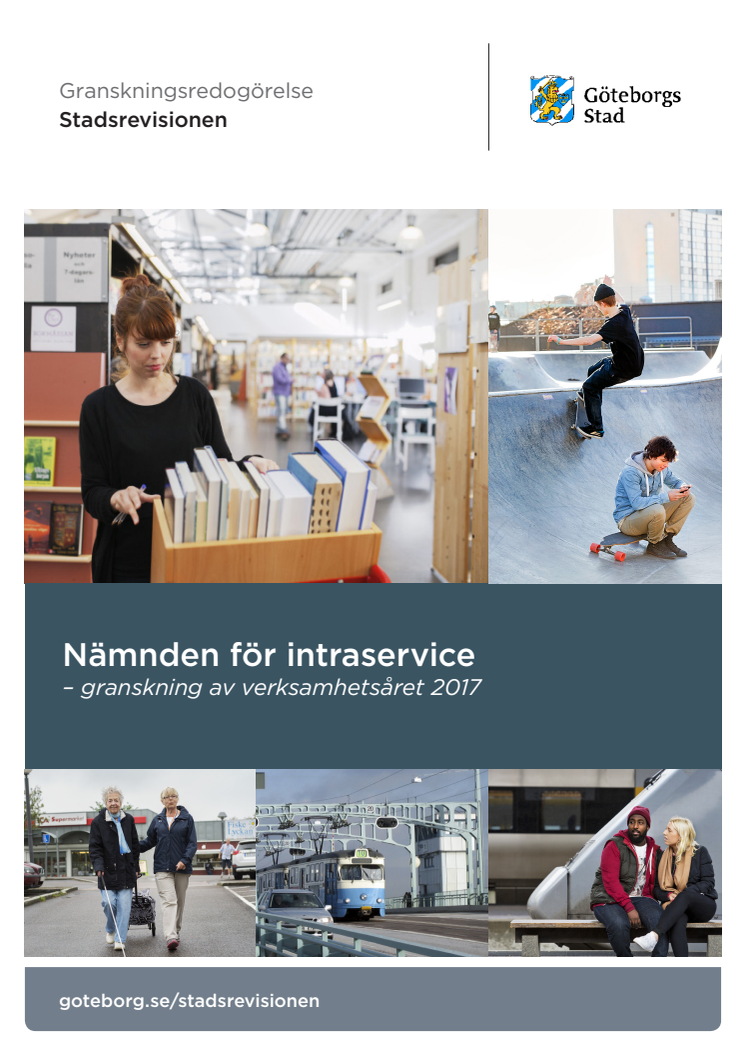 Nämnden för intraservice – granskning av verksamhetsåret 2017