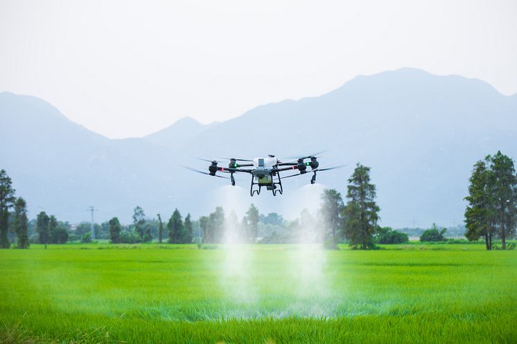 DJI Agras T50-7.jpg