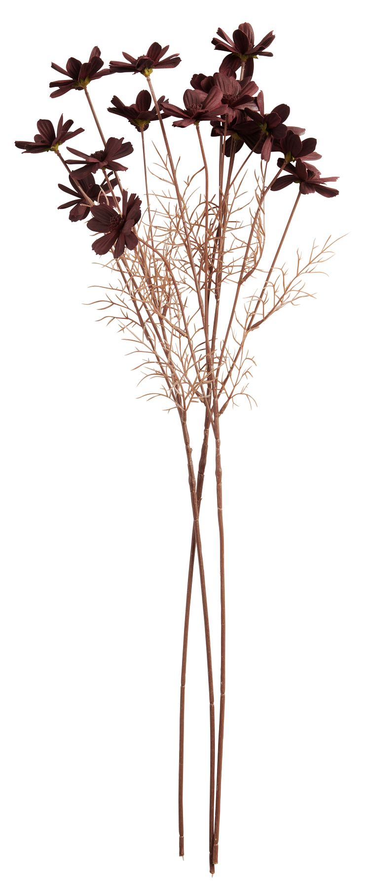NYHET! Twig Cosmos 66 cm Wine red 2,99 EUR.jpg