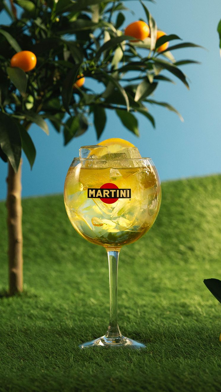 Martini Floreale spritz_9x16